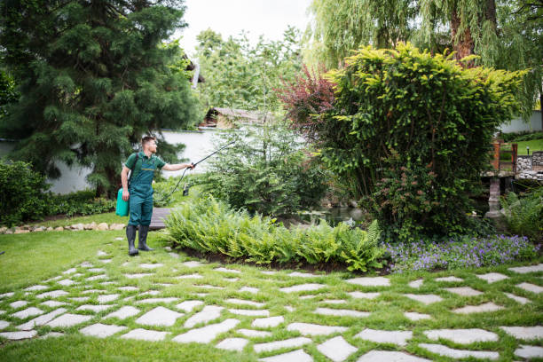 Best Ant Control Services  in Dunbar, SC