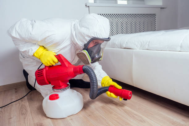 Best Mosquito Control Services  in Dunbar, SC
