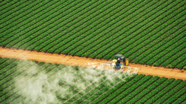 Best Pest Control Cost  in Dunbar, SC